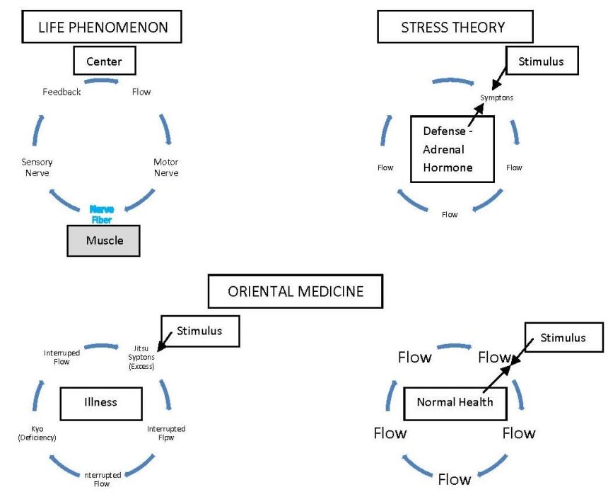 Through touch and pressure we become sensitive to each other