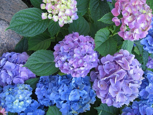 GETTING OUT INTO NATURE